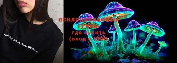 дживик Абинск
