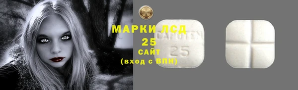 дживик Абинск