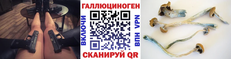 MEGA ССЫЛКА  Черногорск  Галлюциногенные грибы ЛСД  наркота 