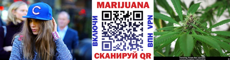 Канабис сатива Черногорск